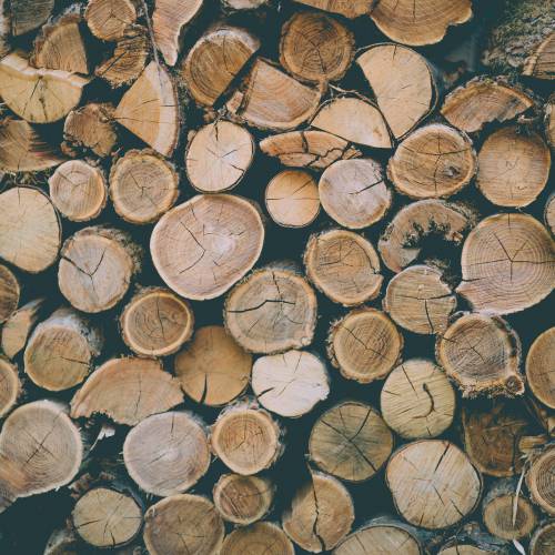 Choosing the Right Wood Type